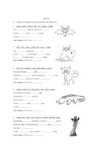 English Worksheet: ANIMALS RIDDLES