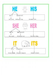 English Worksheet: he she it 1