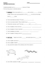 English Worksheet: Vertebrates 