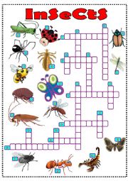 English Worksheet: insects crossword