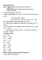 English Worksheet: Singular and Plural Nouns