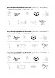 world cup vocabulary worksheet 