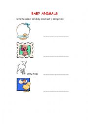 English Worksheet: Baby Animals - Exercise 1