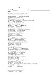 English Worksheet: TEST GRAMMAR