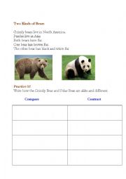 English Worksheet: Compare and Contrast bear