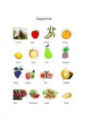 English Worksheet: Tropical fruit