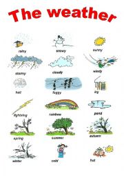 English Worksheet: weather pictionary
