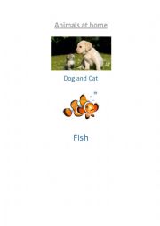 English Worksheet: Animals at home 1