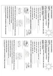 English Worksheet: ENVIRONMENT 