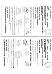 English Worksheet: ENVIRONMENT 