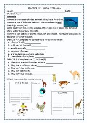 English worksheet: THE MAMMALS