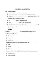 English Worksheet: Bones and skeleton