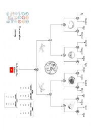 English Worksheet: Pronunciation Journey