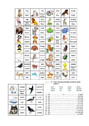 English Worksheet: Animal & Bird Sounds