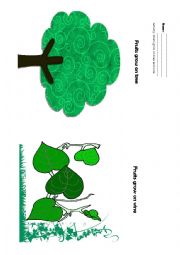 English Worksheet: fruits grow ov tree and vine