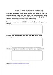 English Worksheet: Muscles & Movement