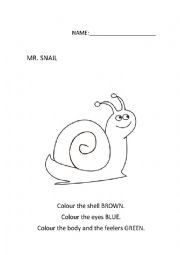 English Worksheet: Snail