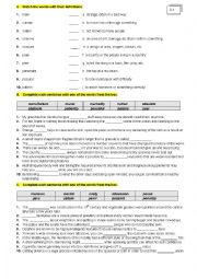 English Worksheet: FCE VOCABULARY 2.4