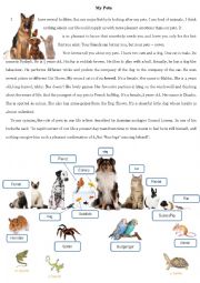 English Worksheet: My Pets