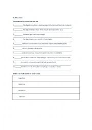 English Worksheet: Science test