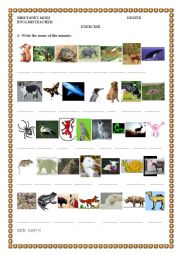 English Worksheet: animals...