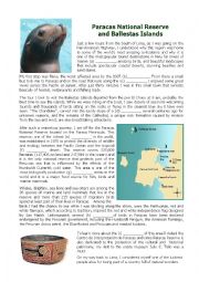 Paracas National Reserve and Ballestas Islands 