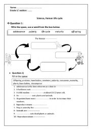 Scienc Quiz, Human Life Cycle