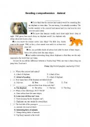 English Worksheet:  Reading comprehension  Animal