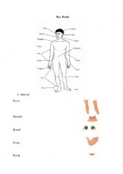 English Worksheet: My Body