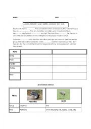 English Worksheet: Argentinian Animals worksheet (animal descriptions - working on the four abilities)