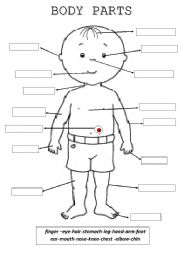 English Worksheet: Body parts color, cut and paste