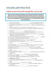 English Worksheet: VOCABULARY PRACTICE