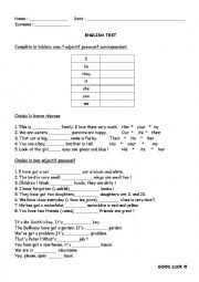 English Worksheet: Possessive adjectives test