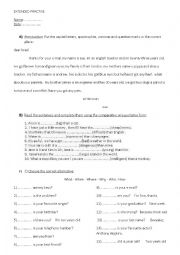 English Worksheet: exercise on punctuation and wh questions