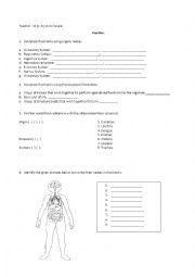 English Worksheet: Human Body Organs