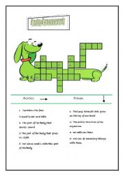 a body crossword