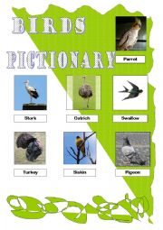 English Worksheet: Birds. Pictionary. Part II (Reuploaded)
