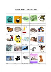 English Worksheet: illustrated vocabulary on pets