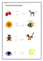 English Worksheet: Homophones