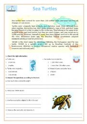 English Worksheet: Sea Turtles