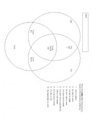 English Worksheet: Pronoun recognition