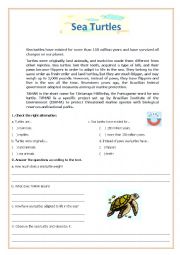 English Worksheet: Sea Turtle