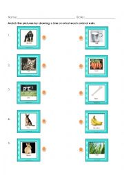 English Worksheet: What animals eat