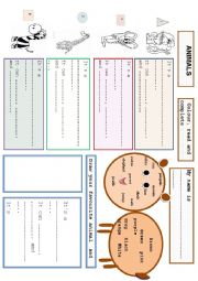 English Worksheet: LETS DESCRIBE ANIMALS