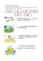 English Worksheet: Worksheet on Animals