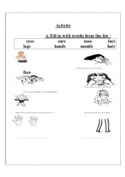 English Worksheet: parts of the body