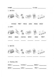 English Worksheet: the body