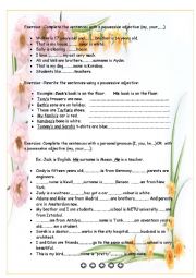 English Worksheet: Possessive adjective