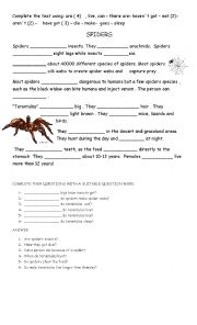 English Worksheet: SPIDERS