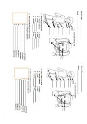 English Worksheet: Parts of the body,pluras,have got exercise